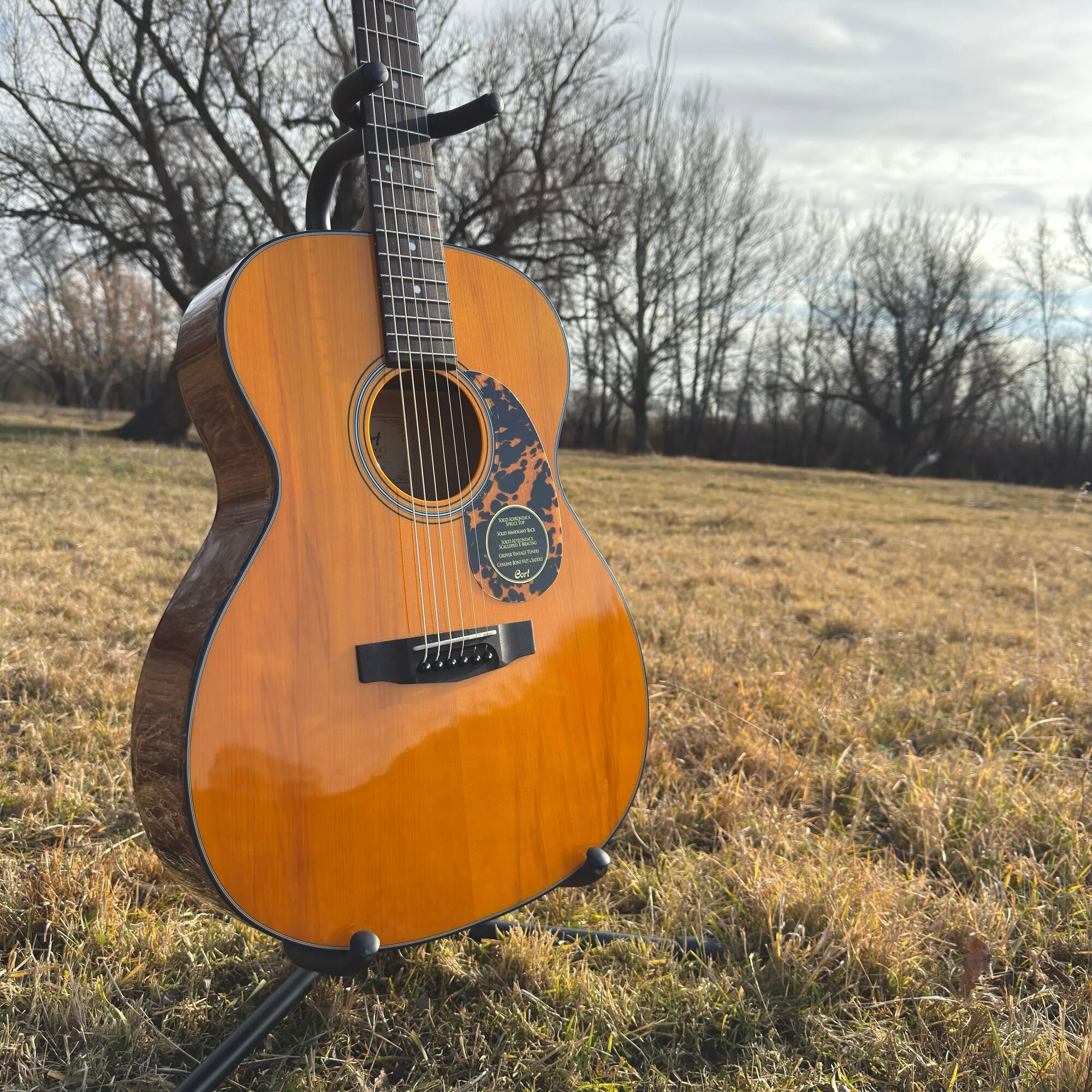 Электроакустическая гитара Cort Luce L300VF Orchestra Natural Glossy — фото 1