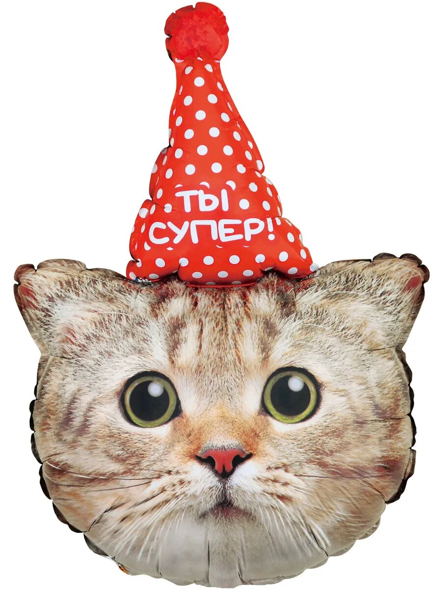 Шар (32'/81 см) Фигура, Котик в красном колпачке, 1 шт. в уп.