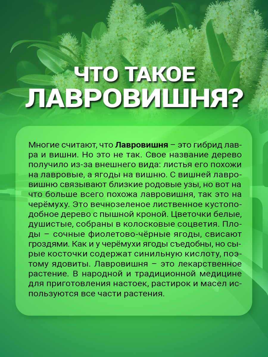 Изображение Настойка из лавровишни (экстракт из листьев) 100 мл НТК Жизненная Сила