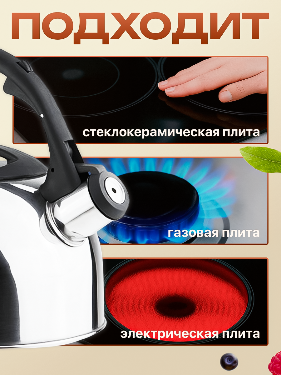 Чайник со свистком PERFECTO LINEA Magnum 2,5 л из нержавеющей стали (52-025018) — фото 1