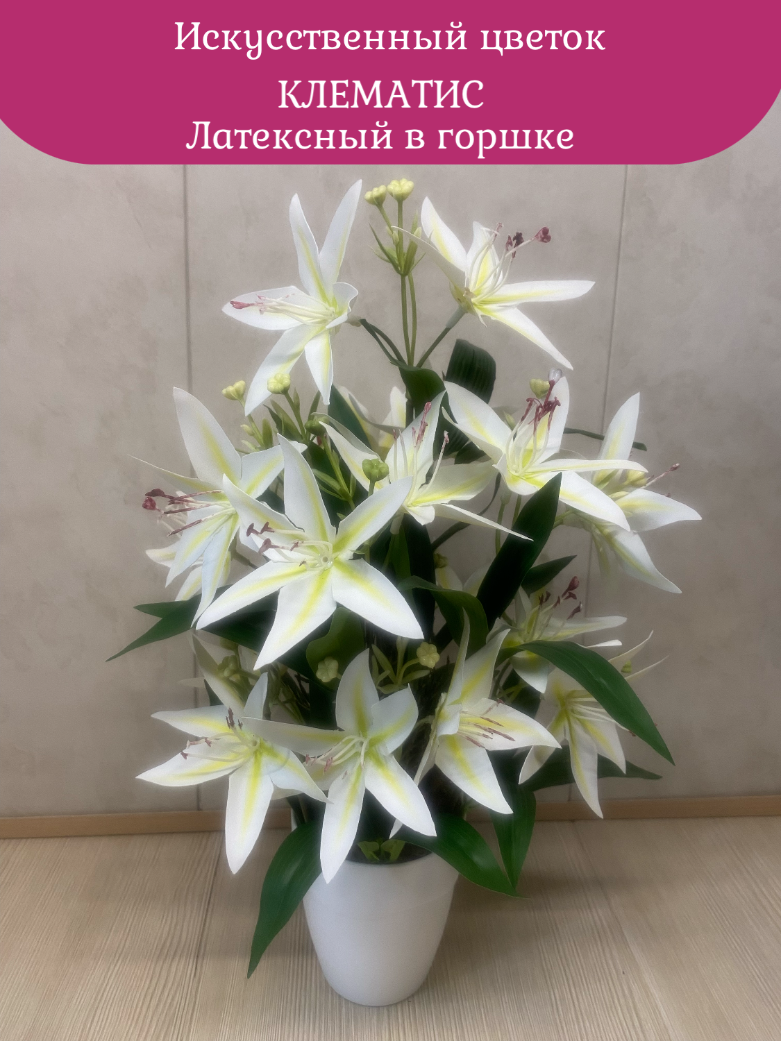 Клематис в горшке от "Лотос"