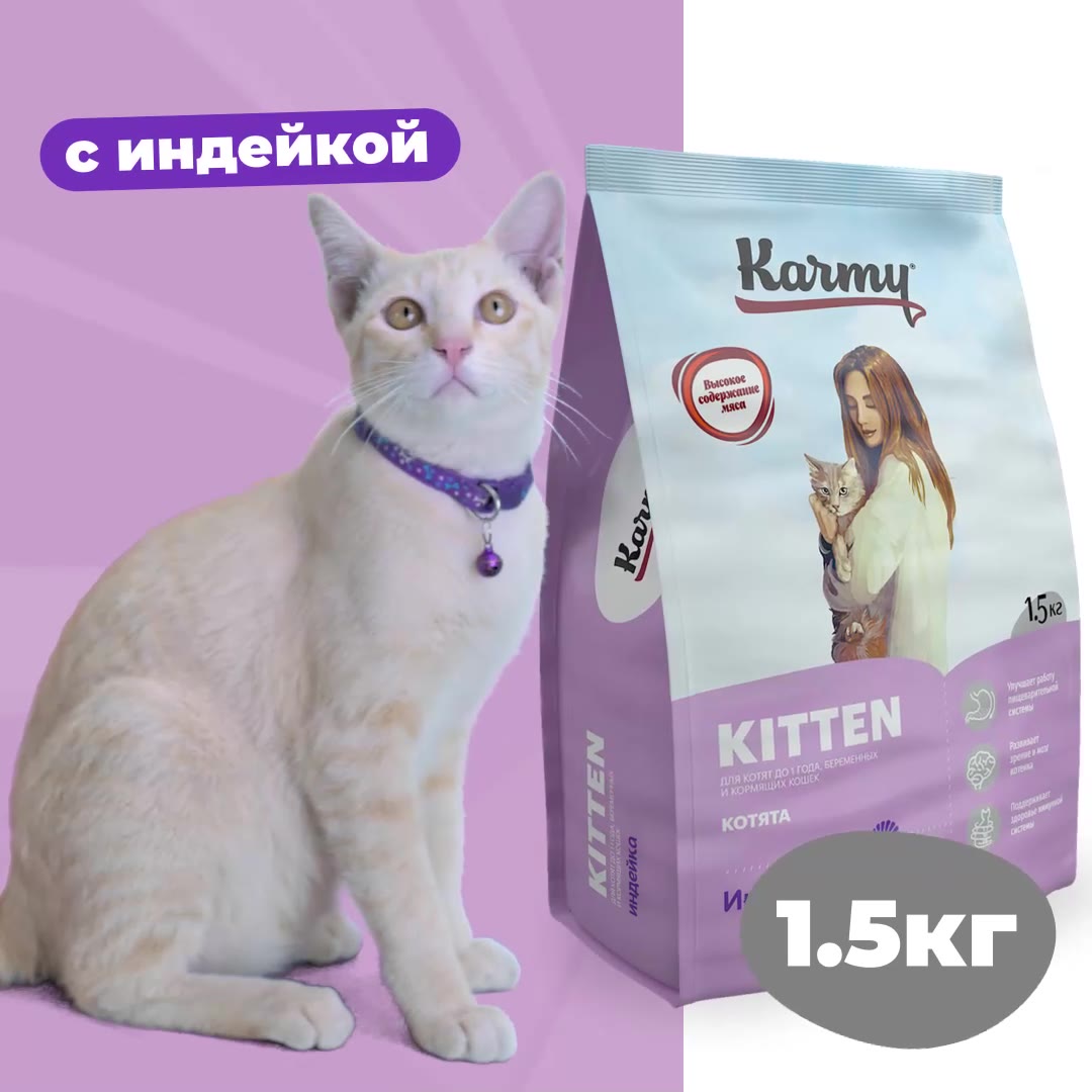 Сухой корм KARMY Kitten для беременных и кормящих кошек и котят, Индейка 1,5кг. — фото 1