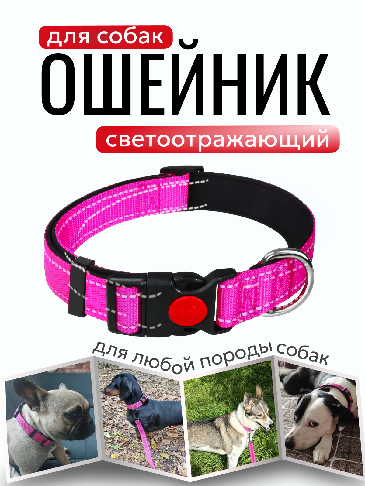 Ошейник для собак мелких и средних пород/нейлоновый светоотражающий