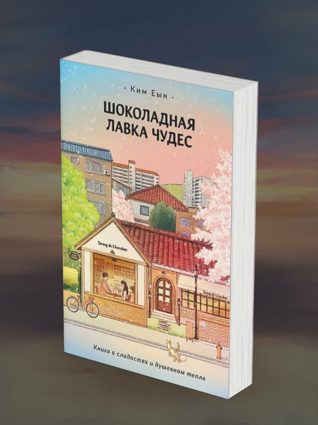 Ким Еын, Шоколадная лавка чудес