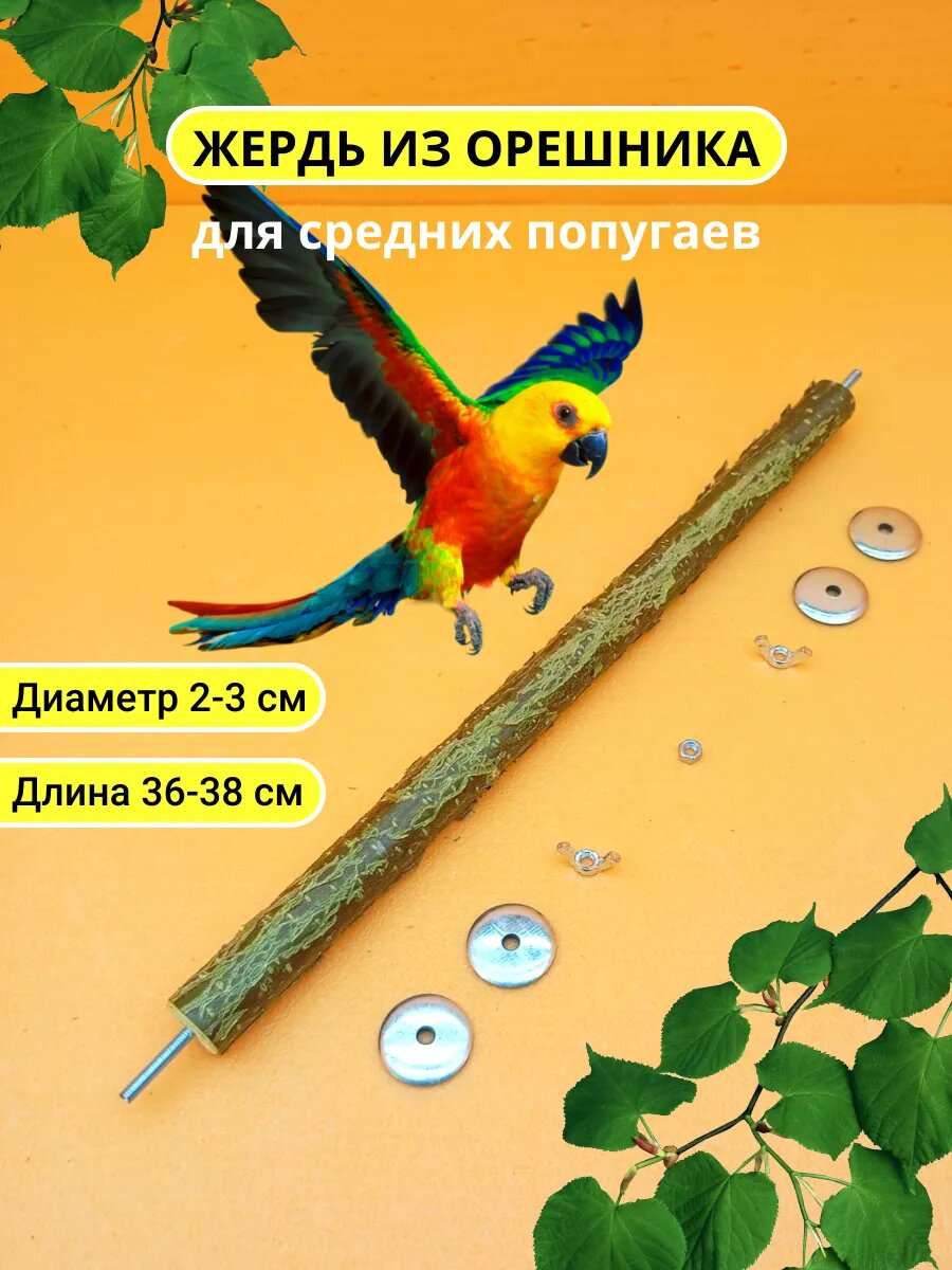 Жердочка для средних попугаев и птиц D2-3 L36-38