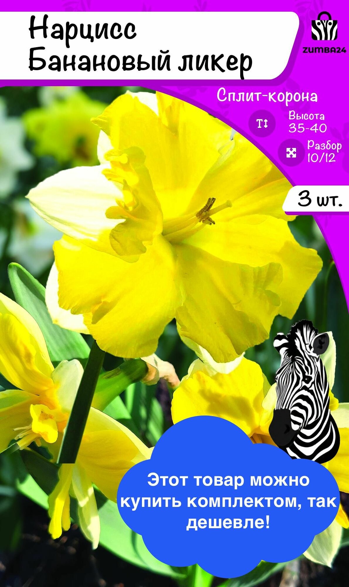 Нарцисс Банановый ликер 3 луковицы 10/12