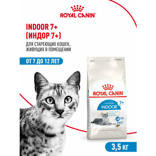 Корм сухой сбалансированный Royal Canin Indoor 7+ (Индор 7+)(для стареющих кошек, живущих в помещении, 3,5 кг