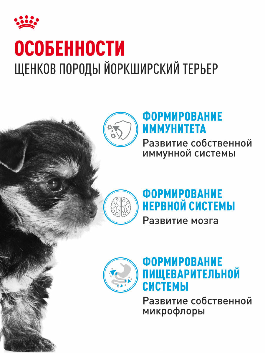 Сухой корм для щенков Royal Canin Puppy для породы йоркширский терьер, 1,5 кг — фото 1
