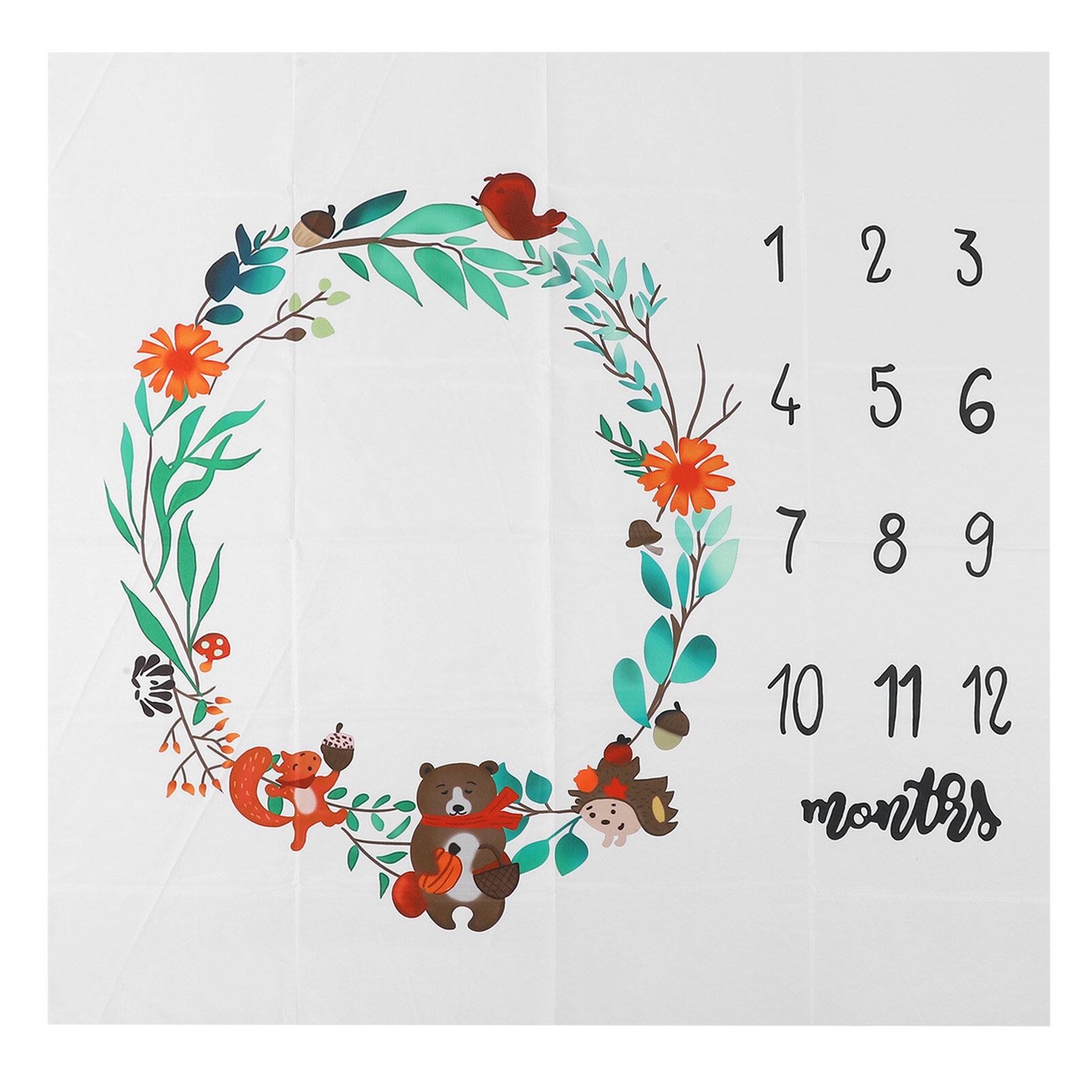 Baby Photography Background Props Monthly Milestone Record Growth Infant Play Mat