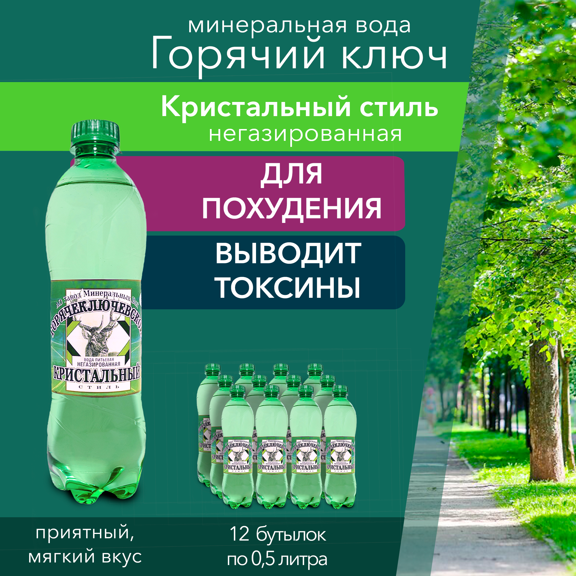 Вода Горячий Ключ Кристальный стиль. Объем 0.5л*12. Вода минеральная питьевая негазированная природная целебная лечебная, выводит токсины, для детей