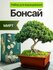 Набор для выращивания растений Бонсай Мирт