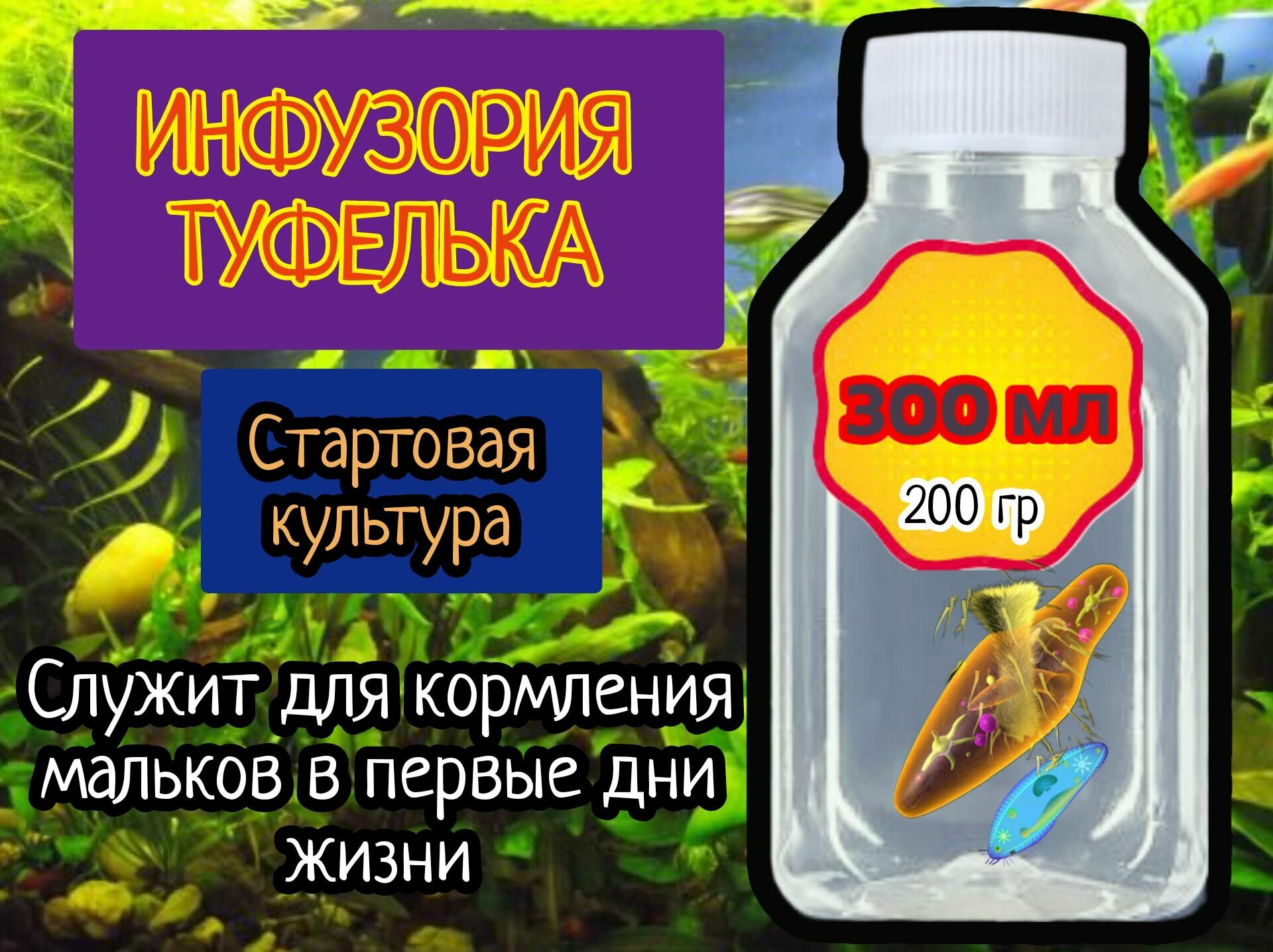 Инфузория живая 300 мл (стартовая культура: инфузория туфелька для разведения) корм для мальков и личинок рыб.