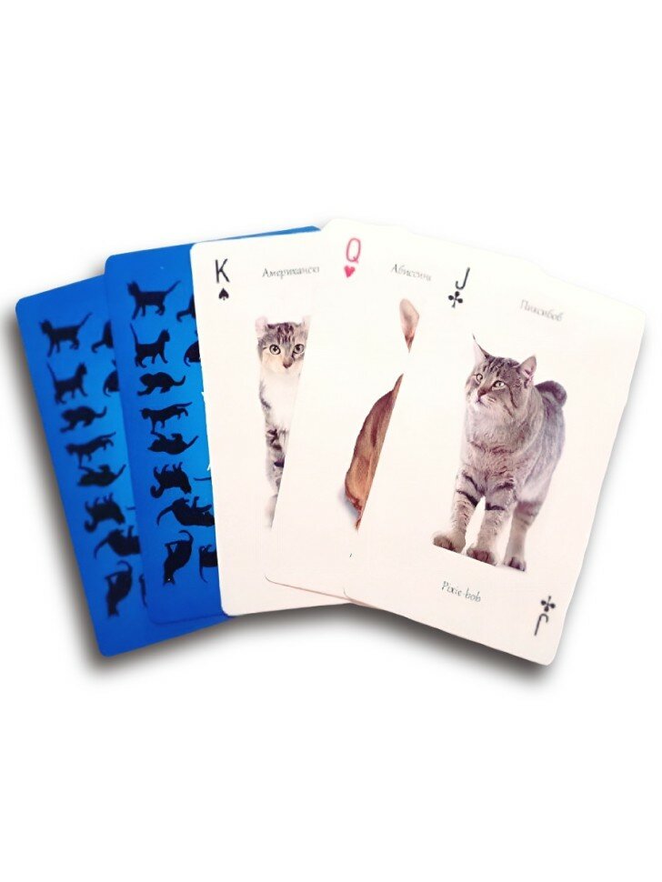 Нет бренда Сувенирные игральные карты "Все кошки России" (54 карты)