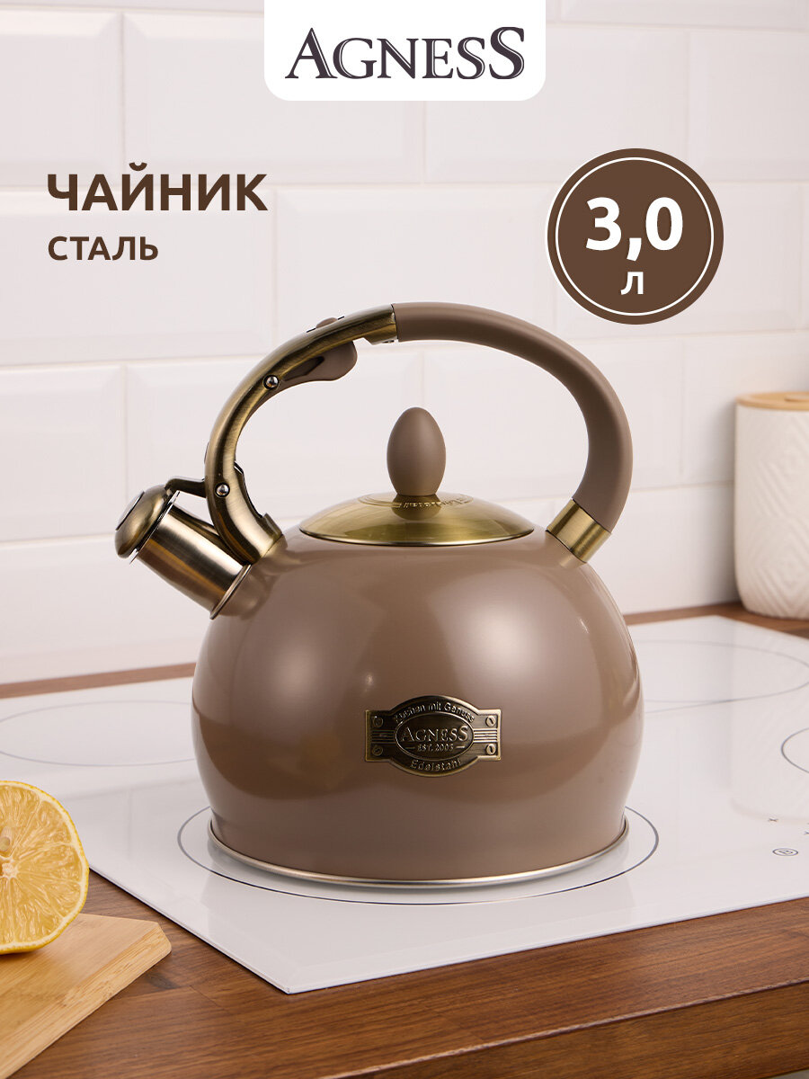 Чайник для газовой плиты Agness 