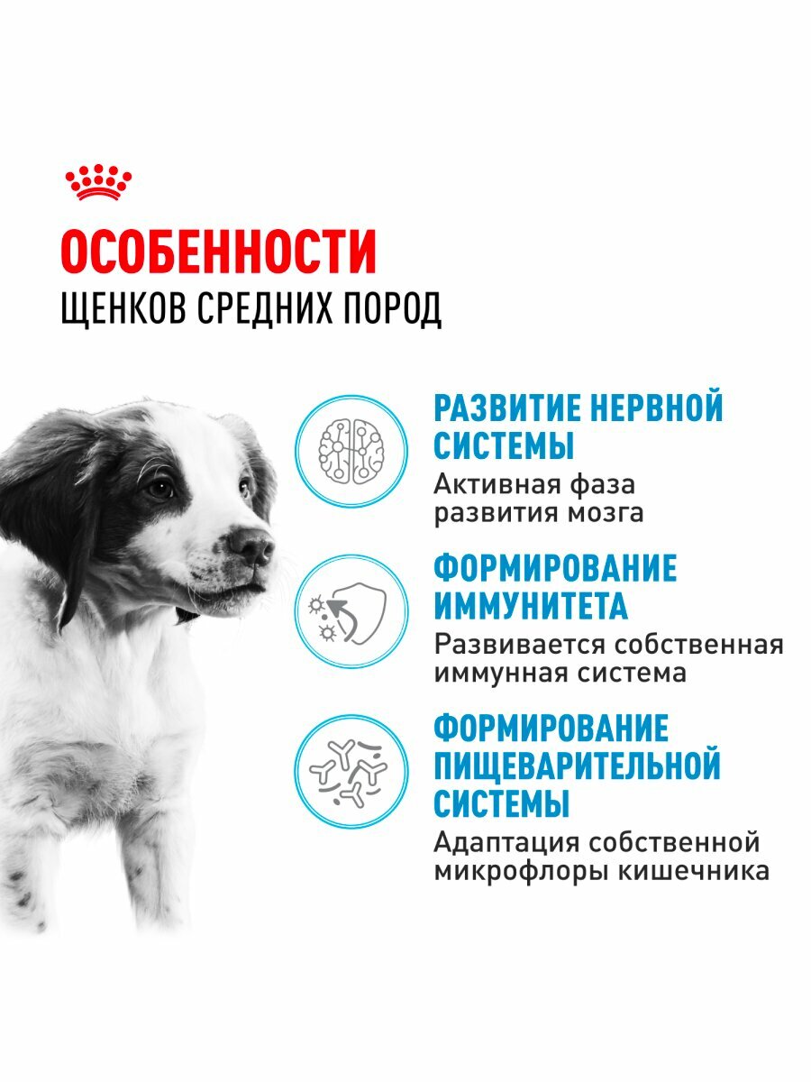 Сухой корм Royal Canin Medium Puppy для щенков средних пород Птица, 3 кг. — фото 1