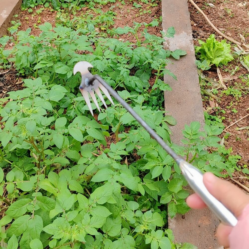 Мотыга Тяпка Садовая Плоскорез Рыхлитель Для Сада И Огорода удаления Сорняков1шт