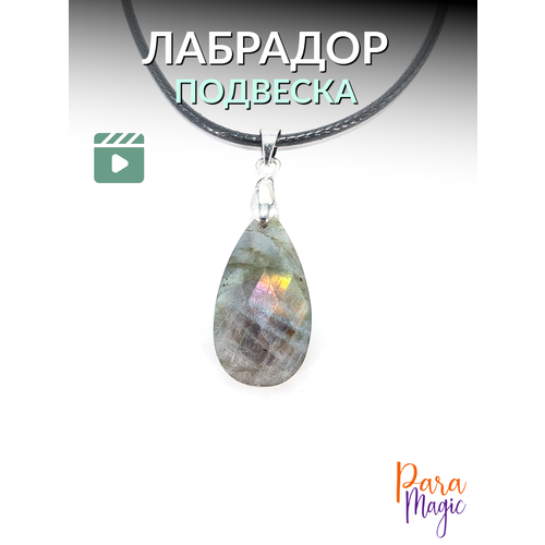 фото Подвеска paramagic, лабрадор, золотистый