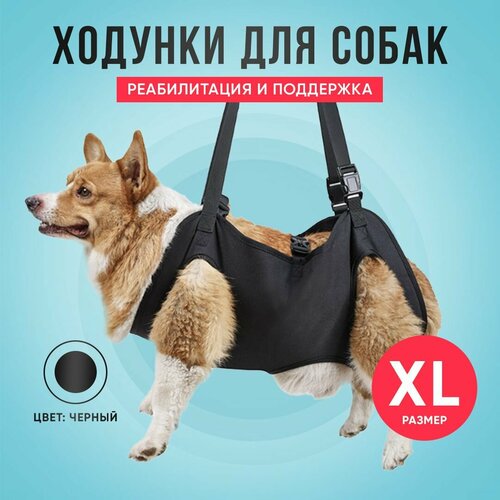 Ходунки для собак, полная поддержка, размер XL