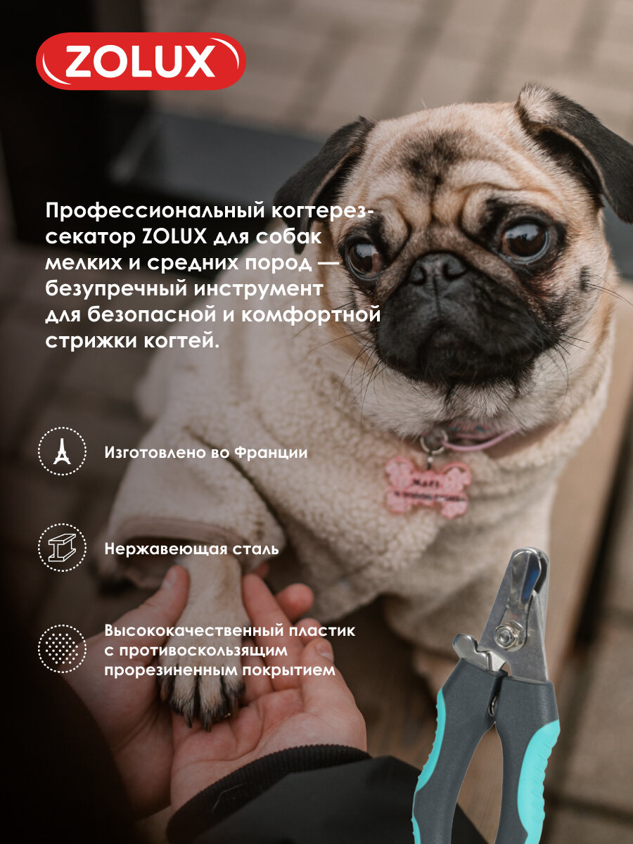 Картинки Ножницы, когтерез-секатор для собак малый, S Zolux