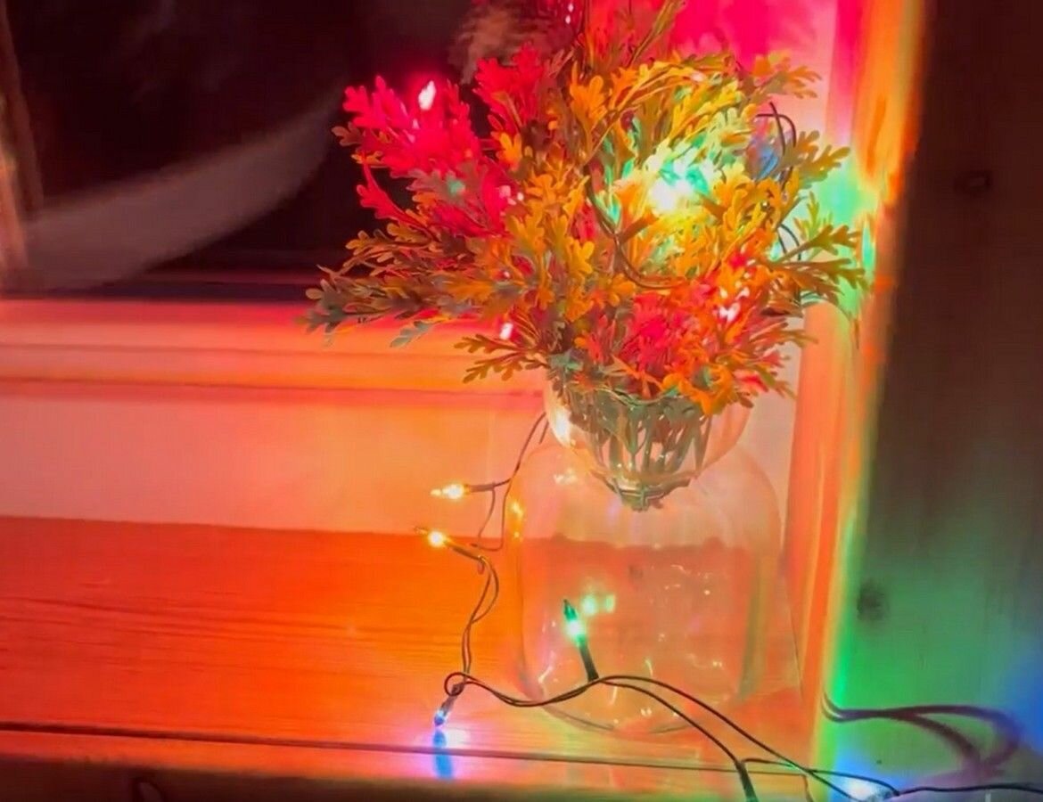 Электрогирлянда 30 разноцветных миниламп 1.8 м, мигание, зеленый ПВХ, IP20, SNOWHOUSE ES00030/1F