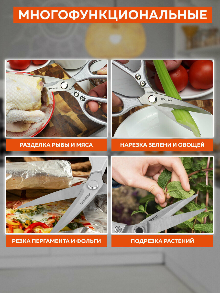 Изображение Ножницы кухонные Daswerk (Дасверк), 210 мм, удлиненное лезвие, металлические ручки, 608900