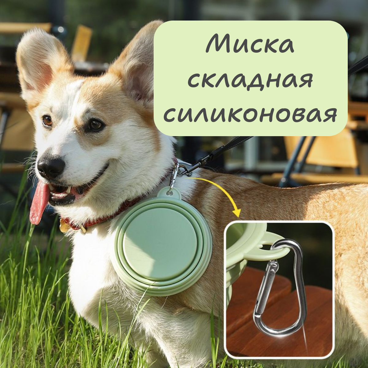 Картинки Миска для животных силиконовая складная для кошек и собак, дорожная, прогулочная поилка с карабином, 350 мл, светло-зеленая