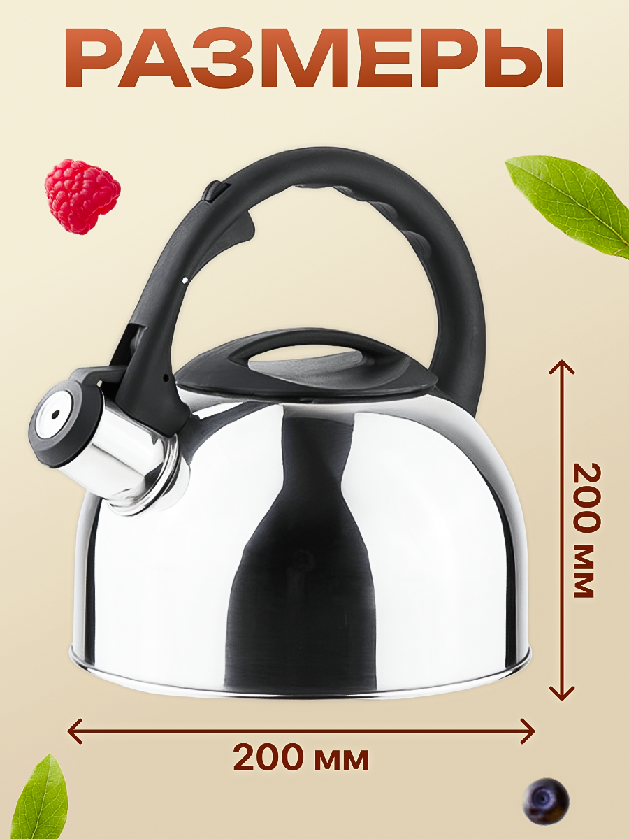 Чайник со свистком PERFECTO LINEA Magnum 2,5 л из нержавеющей стали (52-025018) — фото 1