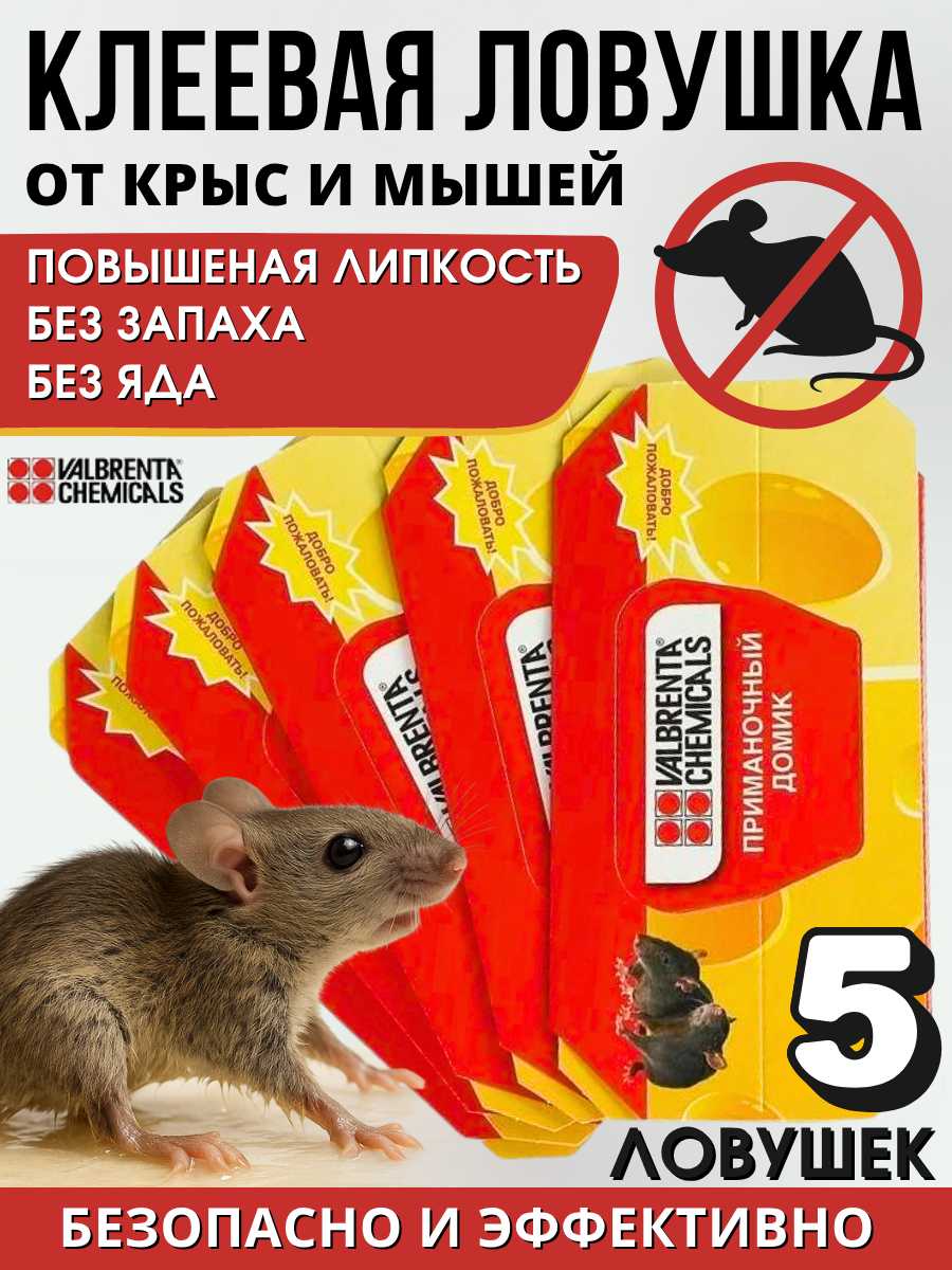 Клеелов домик клеевая ловушка для мышей 5 шт средство для отлова мышей
