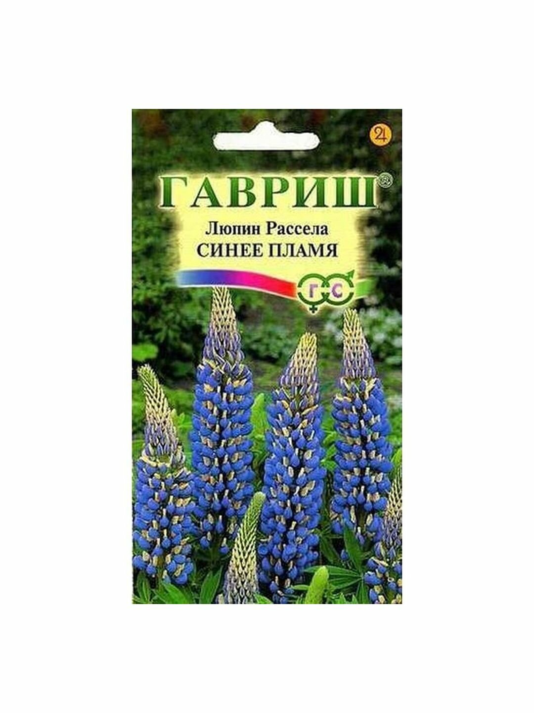 Семена Люпин Синее пламя Рассела многолетние Гавриш 1 пачка - 0.5г семян