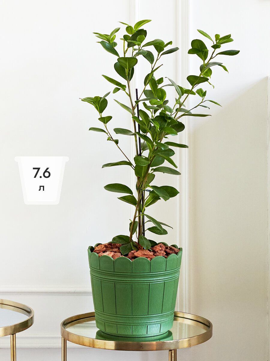 Кашпо для растений пластик 76 л. зеленый