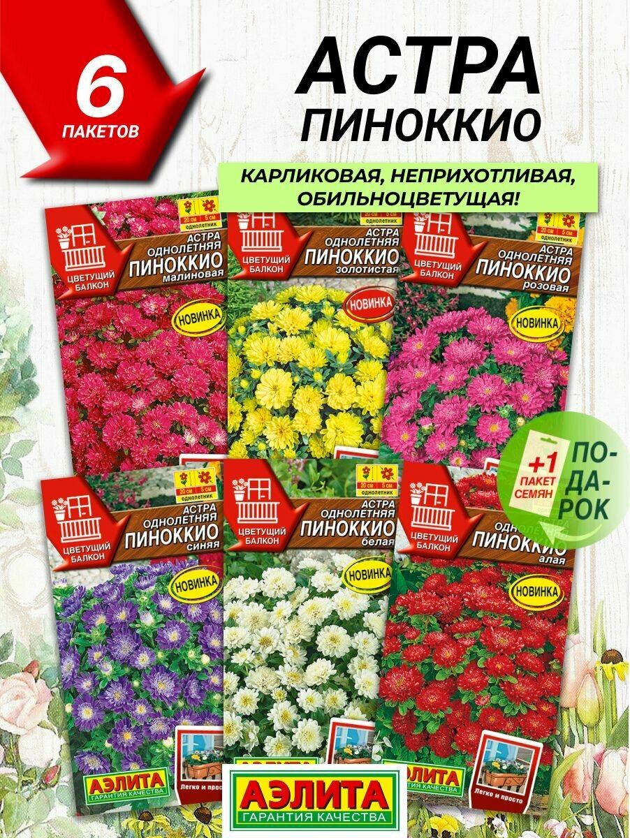 Семена цветов Аэлита Астра Пиноккио 6 сортов / Семена Астры карликовой