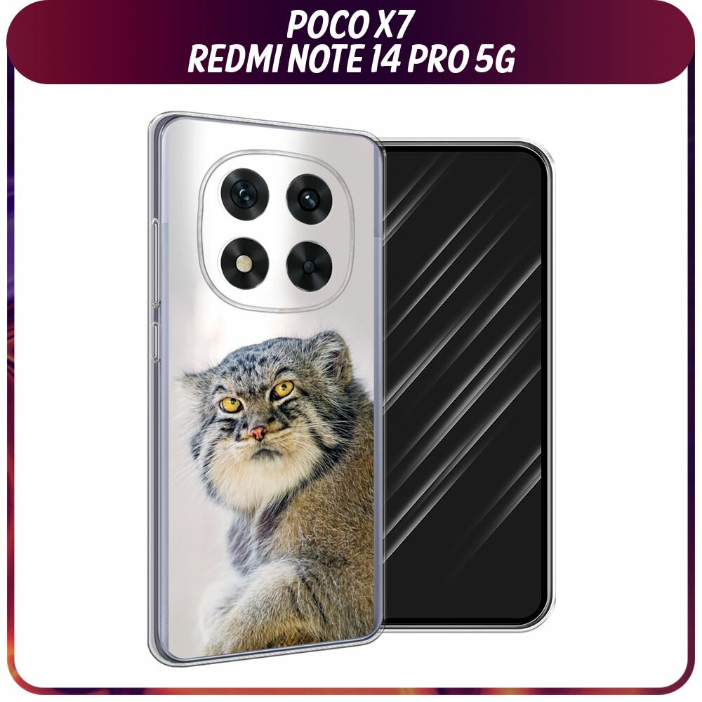 Чехол на Poco X7/Redmi Note 14 Pro 5G / Поко X7/Редми Нот 14 Про с принтом "Кот манул 1"