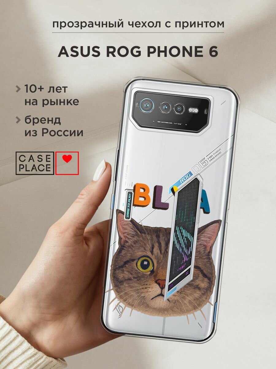 Чехол на Asus ROG Phone 6 / Асус Рог Фон 6 с принтом "Серый котик", прозрачный