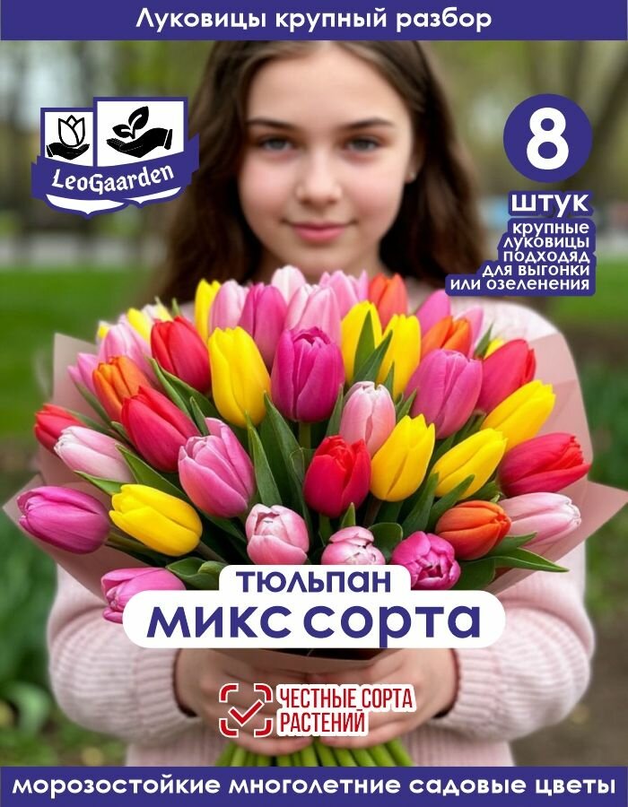 Тюльпан крупные Микс сортов 8шт