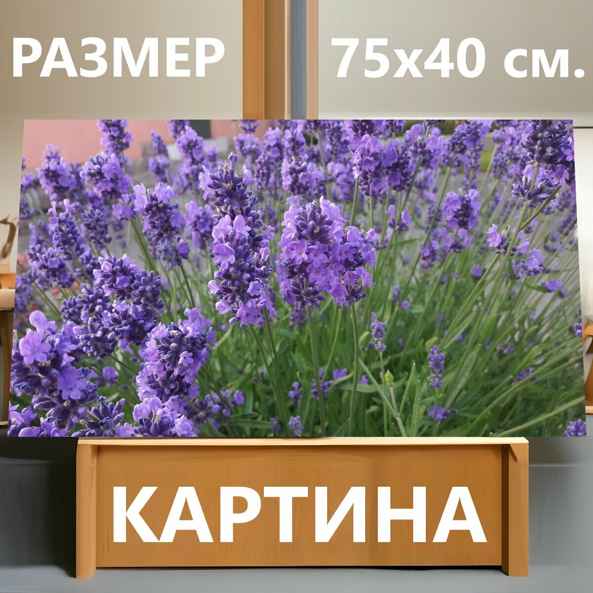 Картина на холсте 