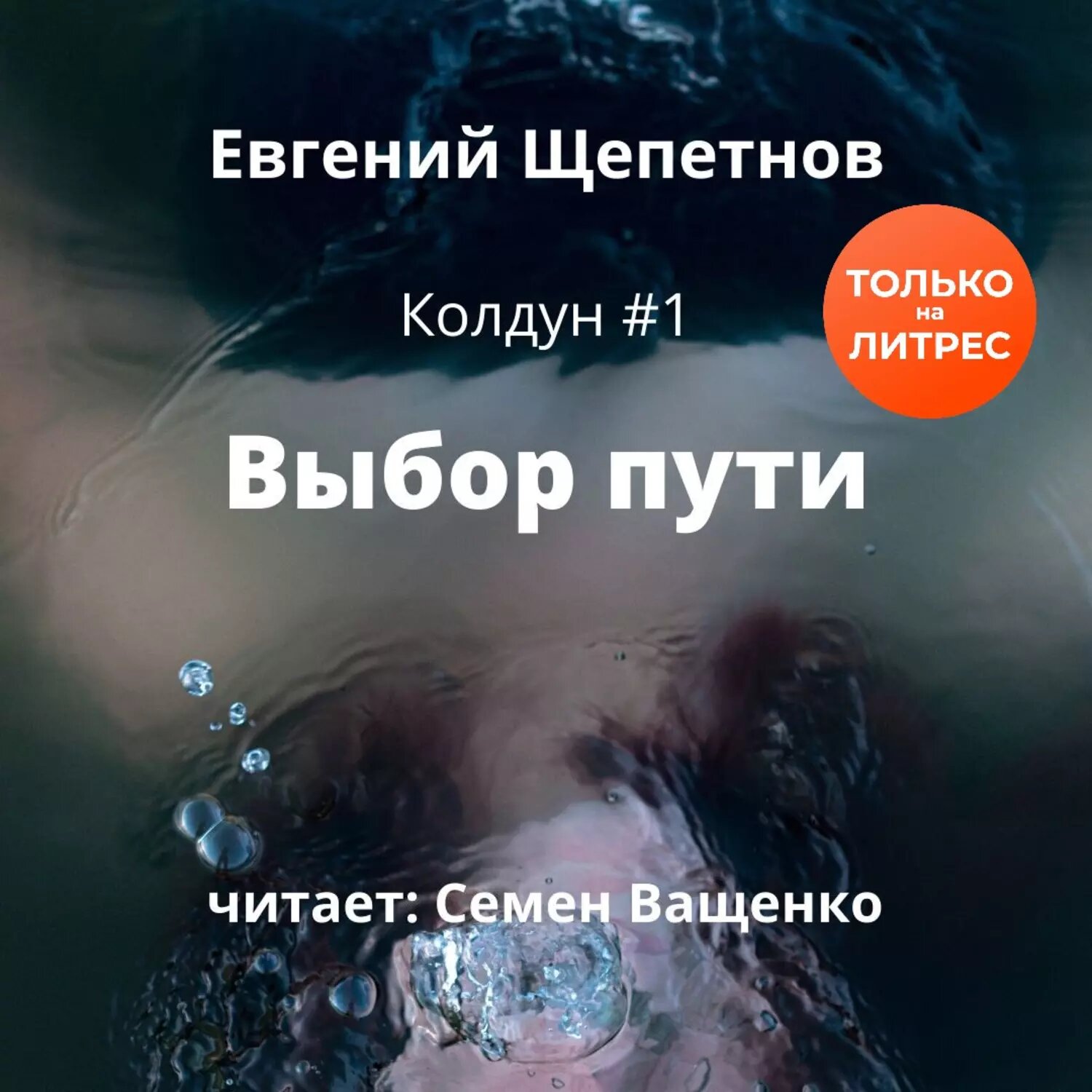 Выбор пути [Аудиокнига]
