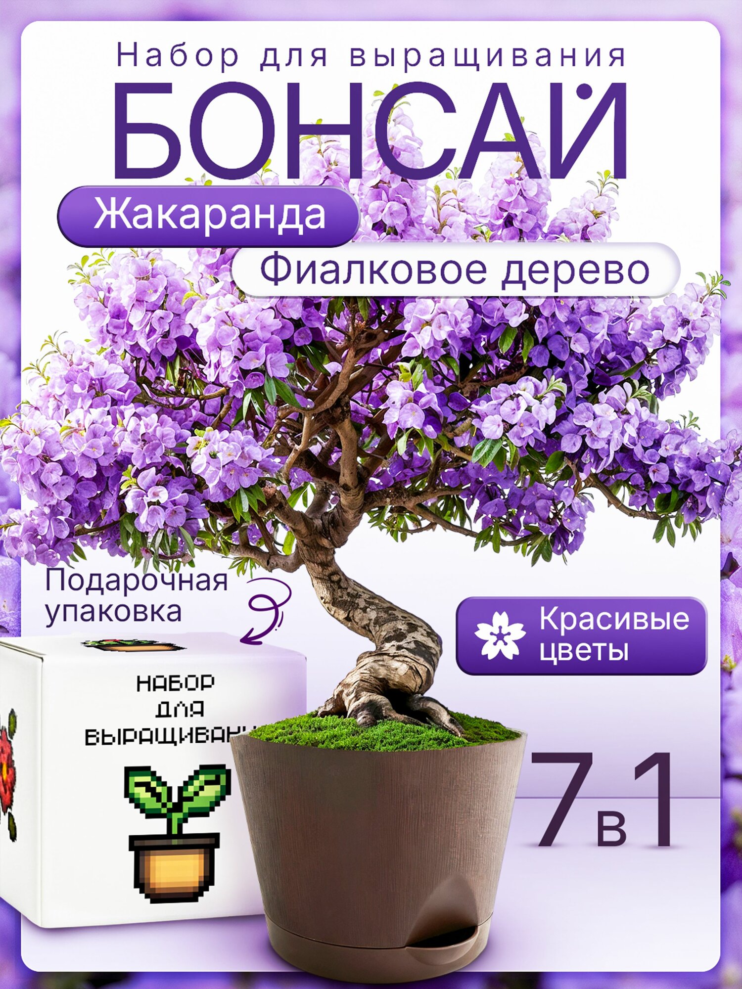Бонсай набор для выращивания растений Жакаранда
