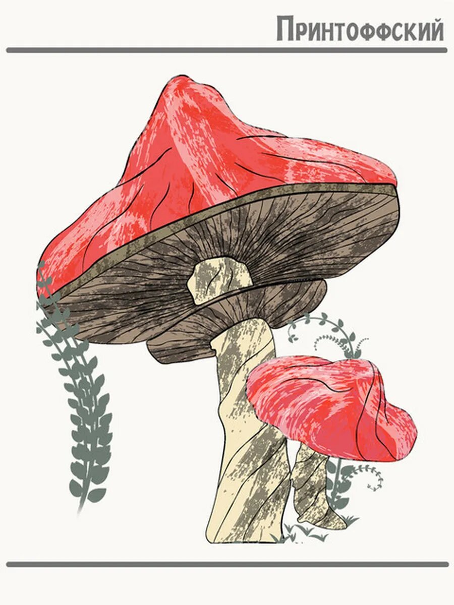 Термонаклейка для одежды и аксессуаров DTF-печать грибы mushrooms мухоморы