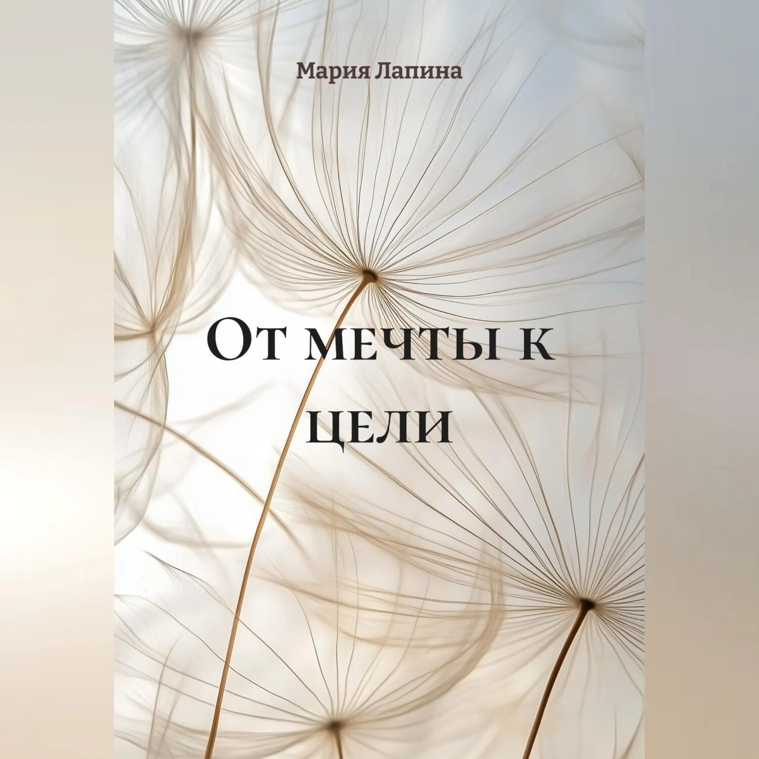 От мечты к цели [Аудиокнига]