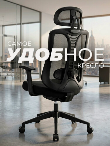 Изображение товара Компьютерное кресло для офиса и дома , ортопедическое кресло, регулировка поясничной опоры и высоты подлокотников , механизм качания , 4 угла наклона , 2D подголовник , TRAUMSESSEL RT-2 , черный , нагрузка до 150 кг