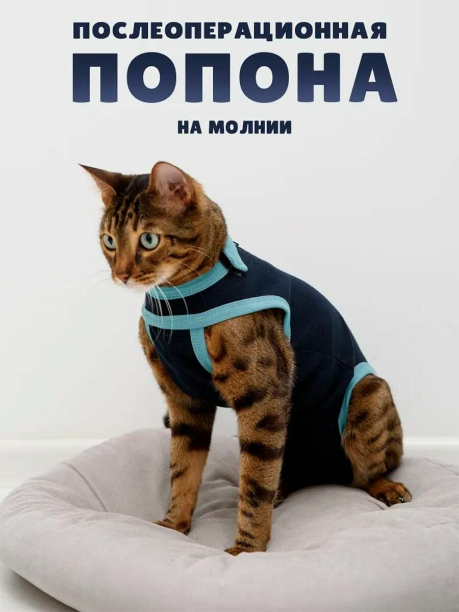 Попона послеоперационная для кошек на молнии, вес - 2,3-3кг
