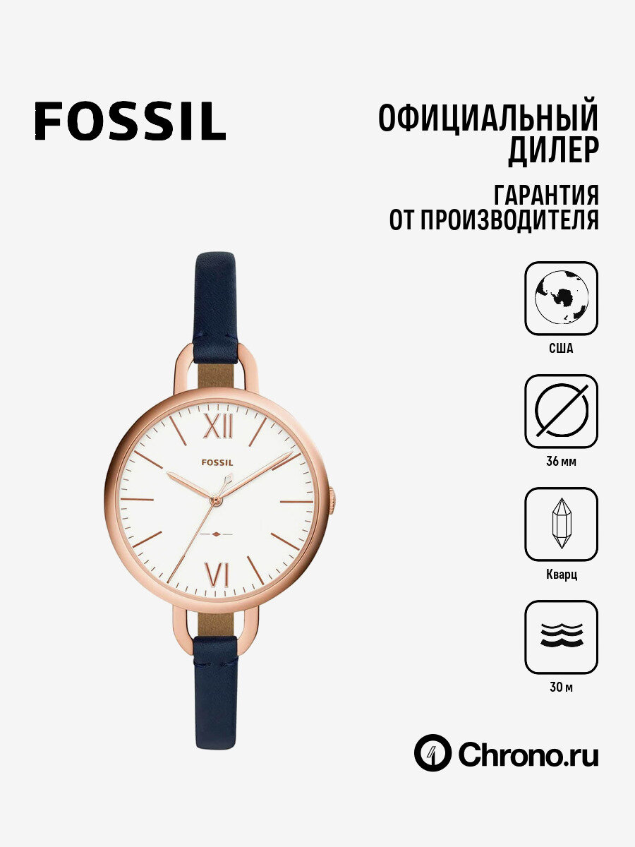  FOSSIL Annette