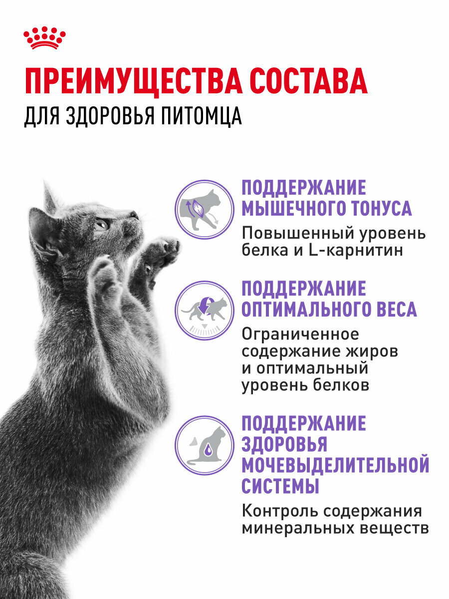 Сухой корм Royal Canin Sterilised 37 (Стерилайзд 37) для стерилизованных кошек от 1 года до 7 лет, 0,4 кг — фото 1