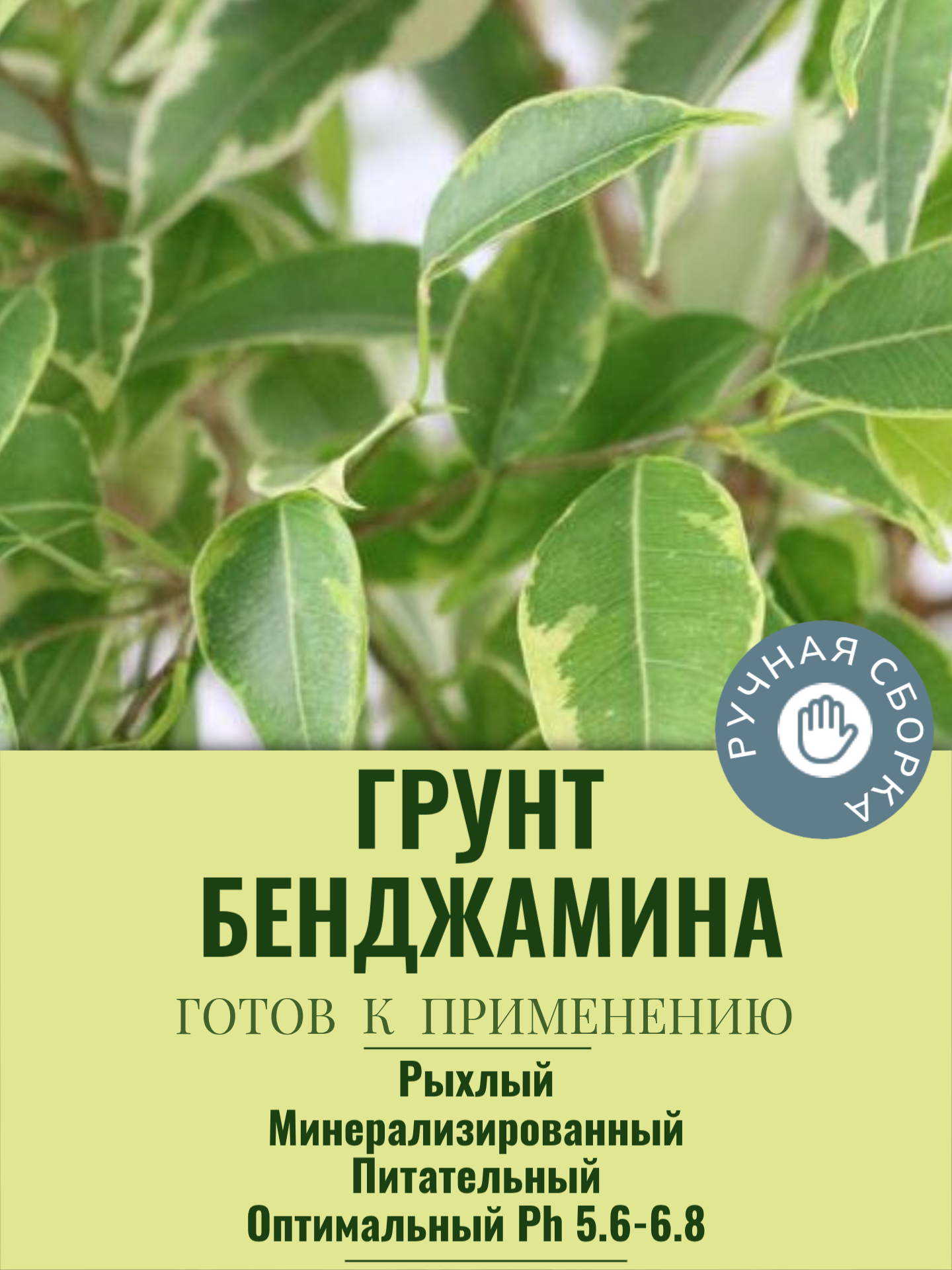 Грунт для Фикуса 