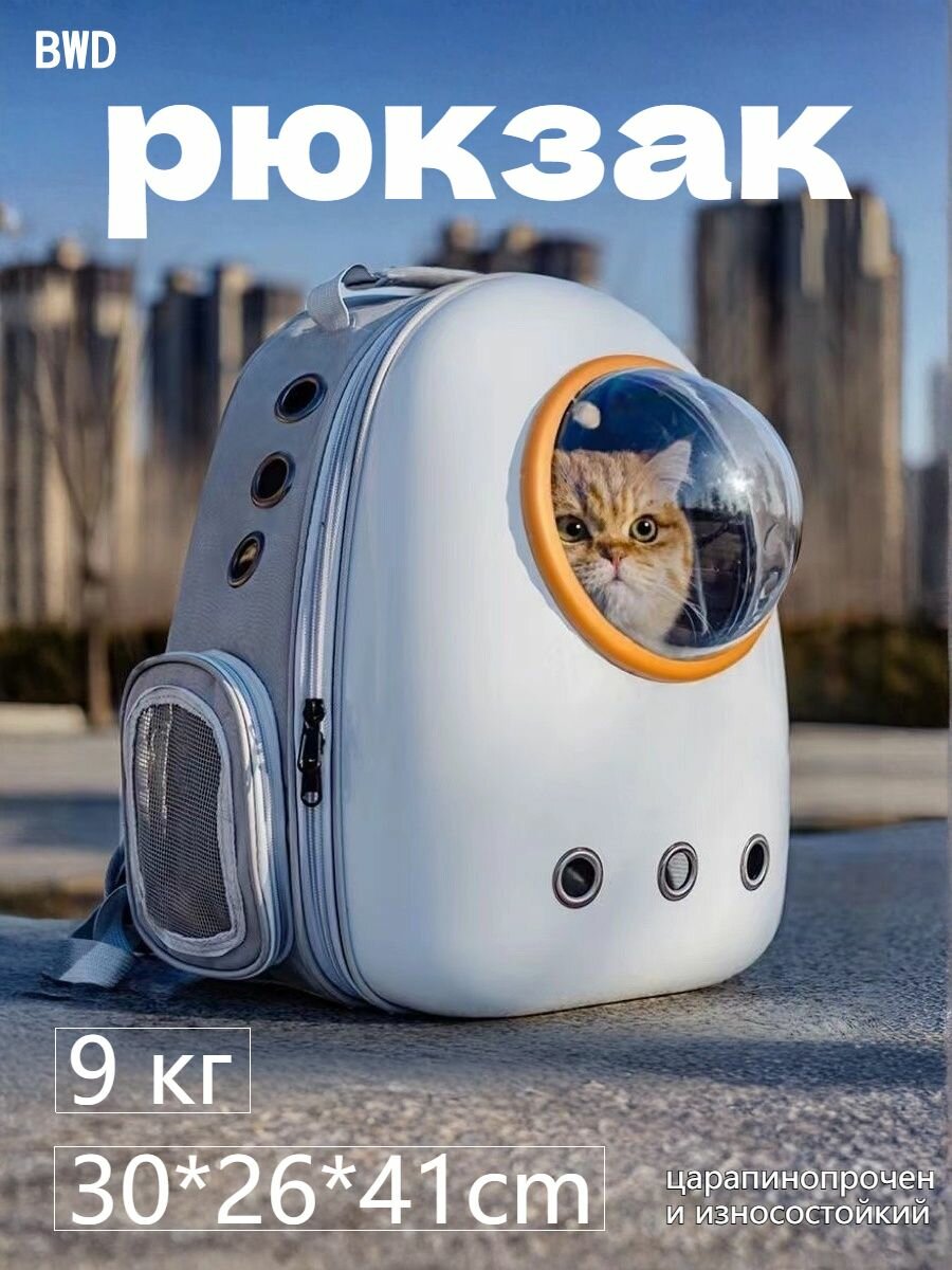 Рюкзак-переноска для кошек с прозрачным окошком, аксессуар для животных