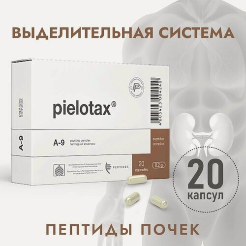 Изображение товара Пептиды почек "Пиелотакс", комплекс А-9, для профилактики урологических заболеваний, 20 капс.