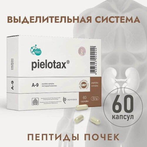 Изображение товара Пиелотакс (Пептиды Хавинсона) пептиды почек, 60 капсул, бад при почечной недостаточности, нефрит, цистит