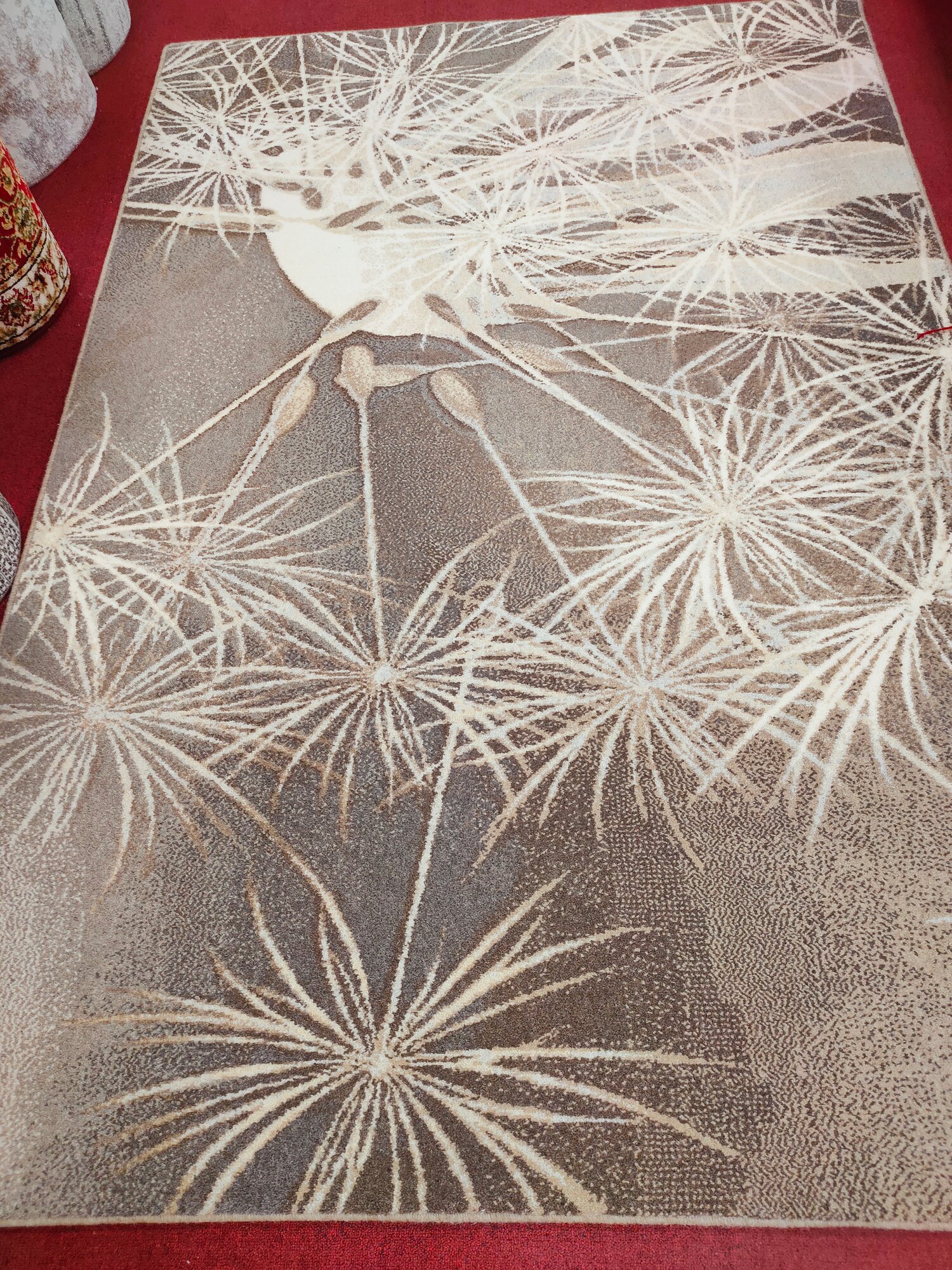 Ковер шерстяной Agnella NATURAL10 PRATUM beige  бежевый  1 6 х 2 4 м 100  шерсть