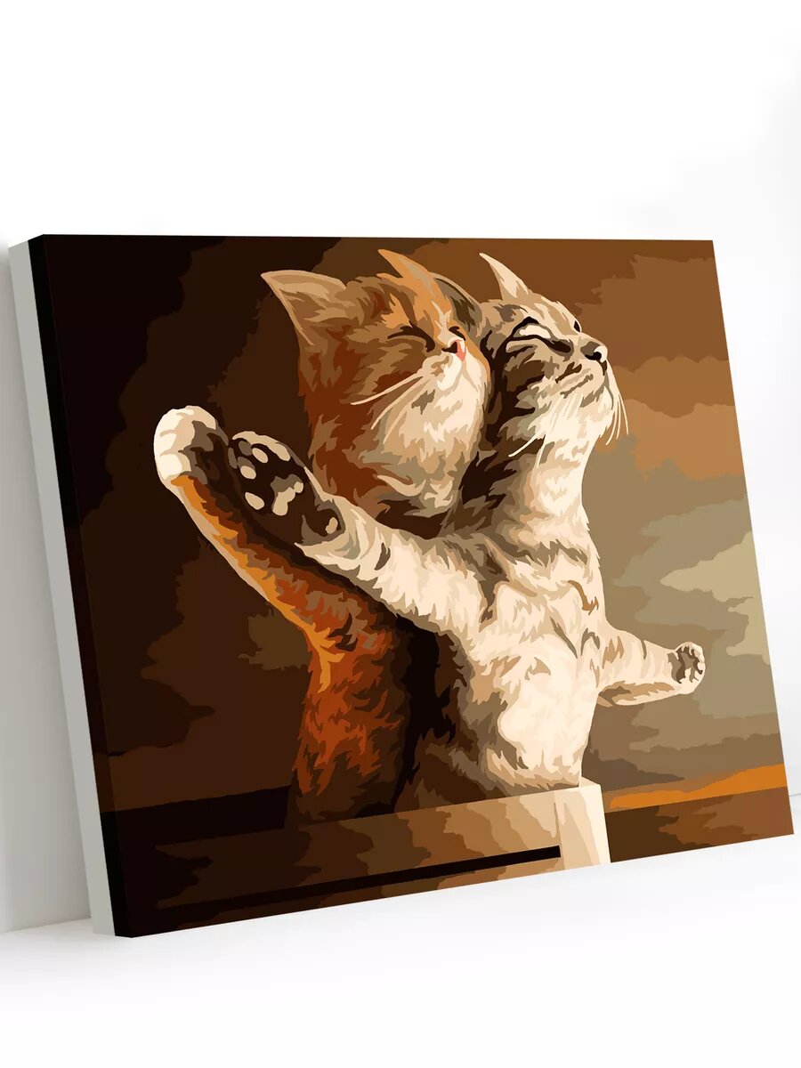 Картина по номерам на холсте с подрамником 40х50 см Кошачий Титаник