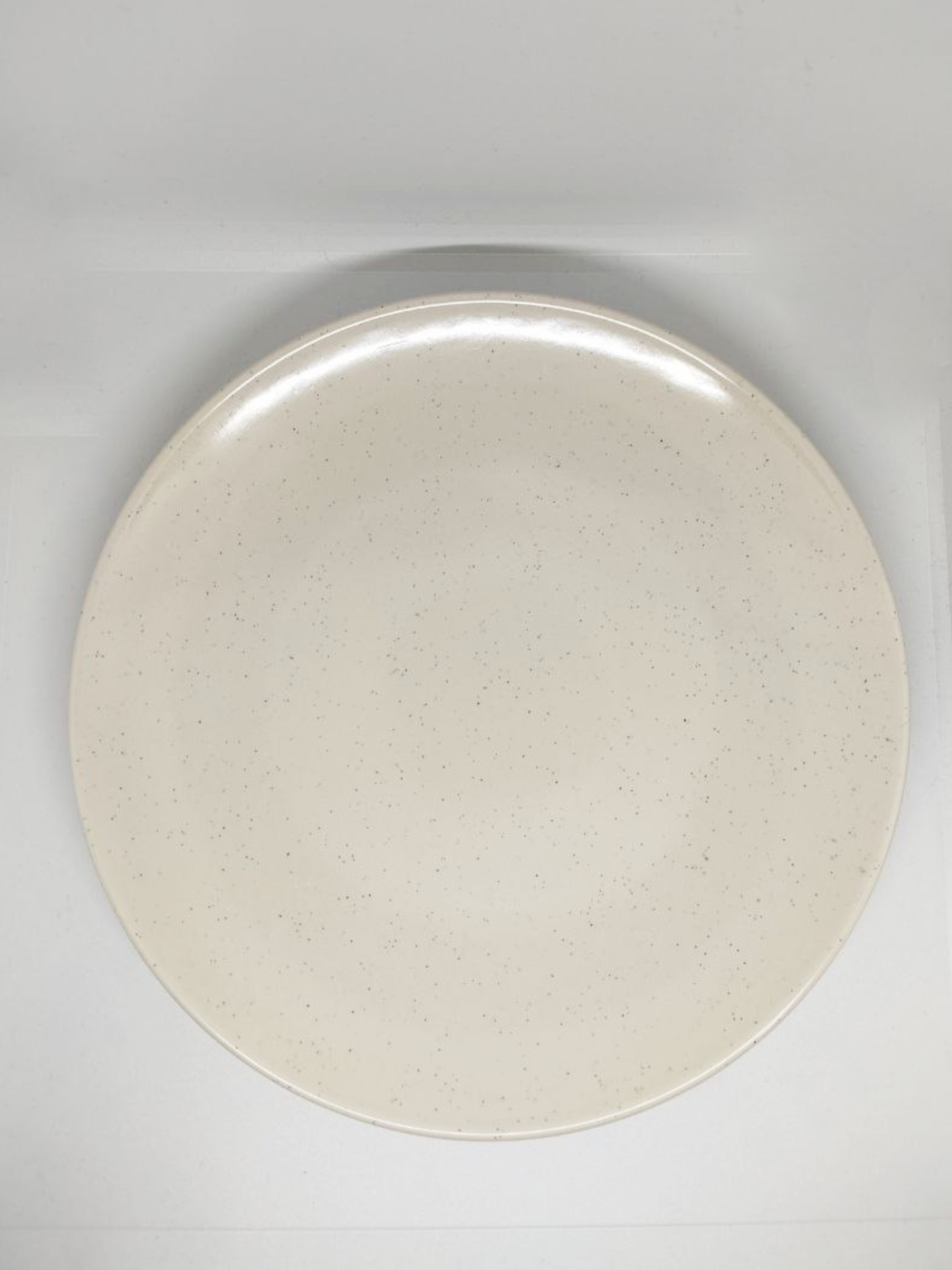 Тарелка. диаметр 25 см WB — фото 1